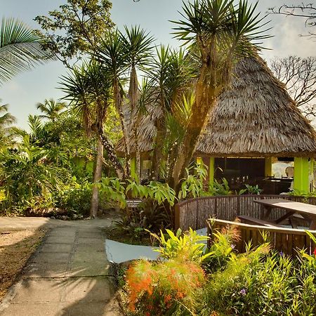 Windy Hill Resort San Ignacio Ngoại thất bức ảnh