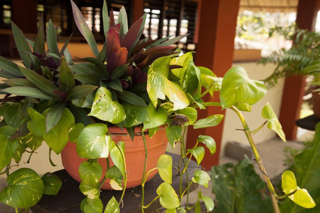 Windy Hill Resort San Ignacio Ngoại thất bức ảnh