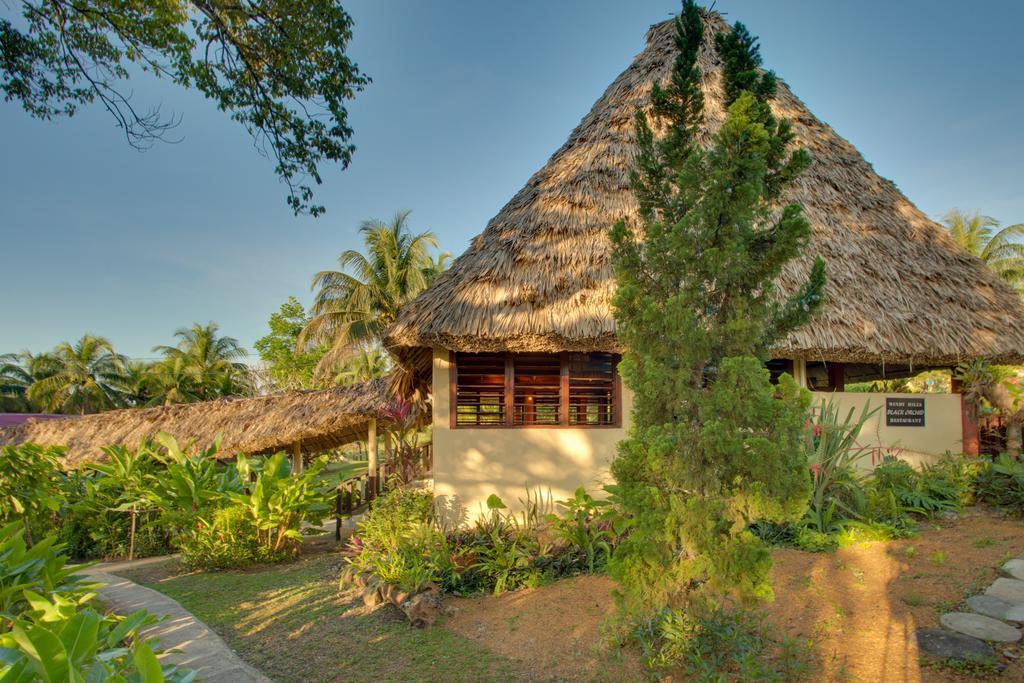 Windy Hill Resort San Ignacio Ngoại thất bức ảnh