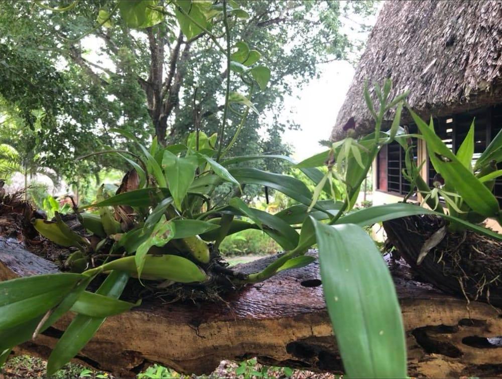 Windy Hill Resort San Ignacio Ngoại thất bức ảnh