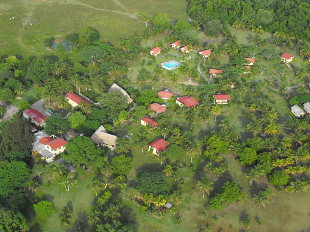 Windy Hill Resort San Ignacio Ngoại thất bức ảnh