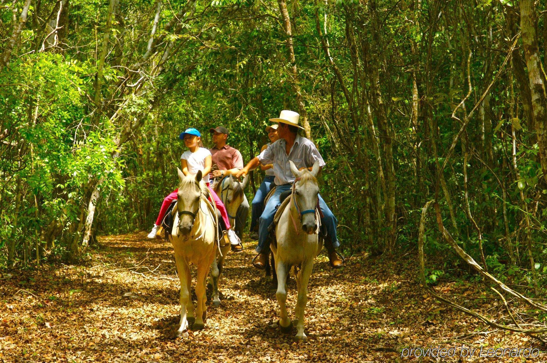 Windy Hill Resort San Ignacio Ngoại thất bức ảnh